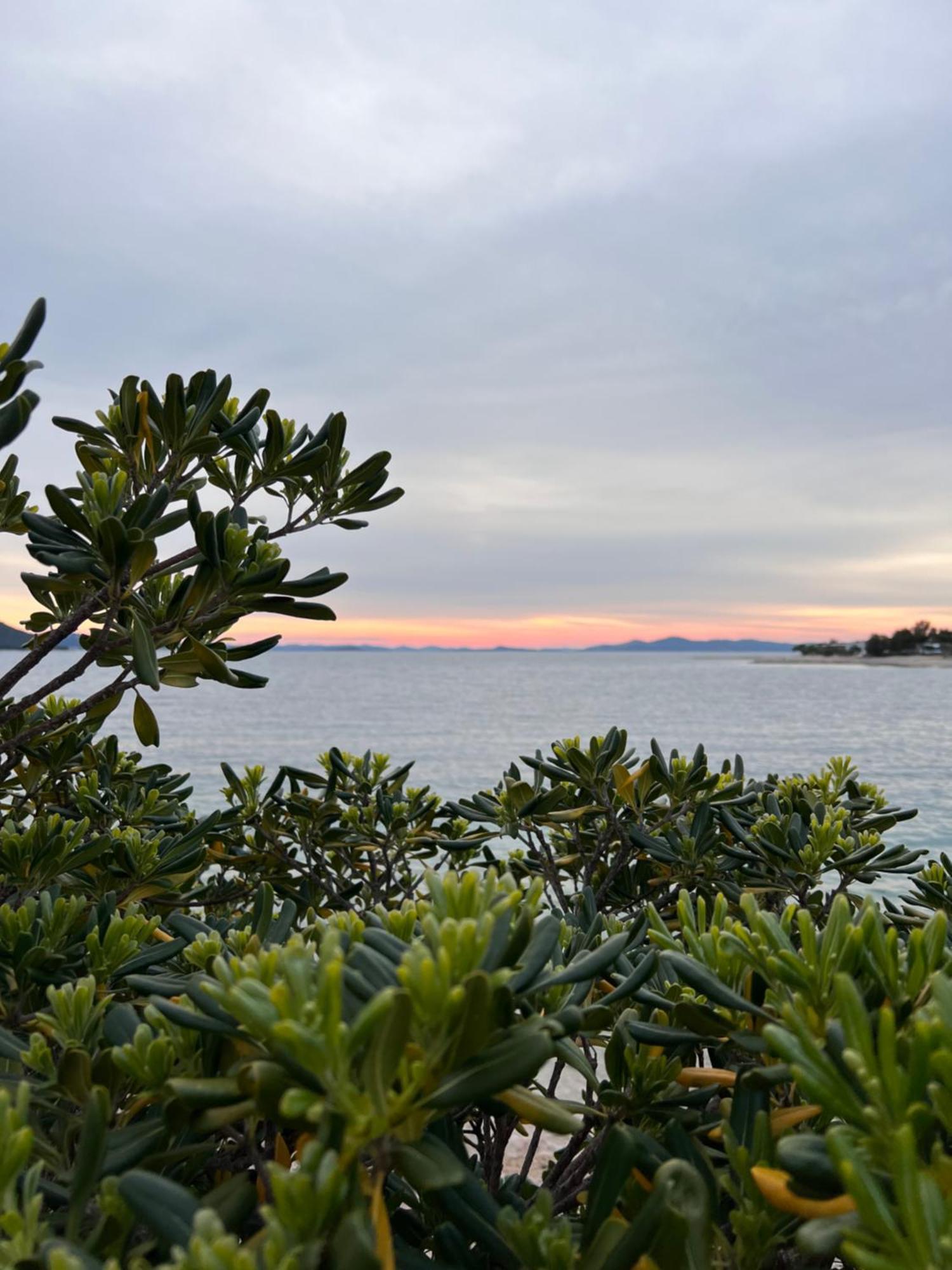 Green Turtle - Lovely, Brand New Holiday Home Near The Sea Драге Экстерьер фото
